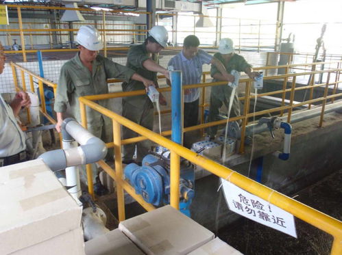 湘潭新手考證指南 固體廢物處理工證考試流程、體檢要求及污染治理工作解讀